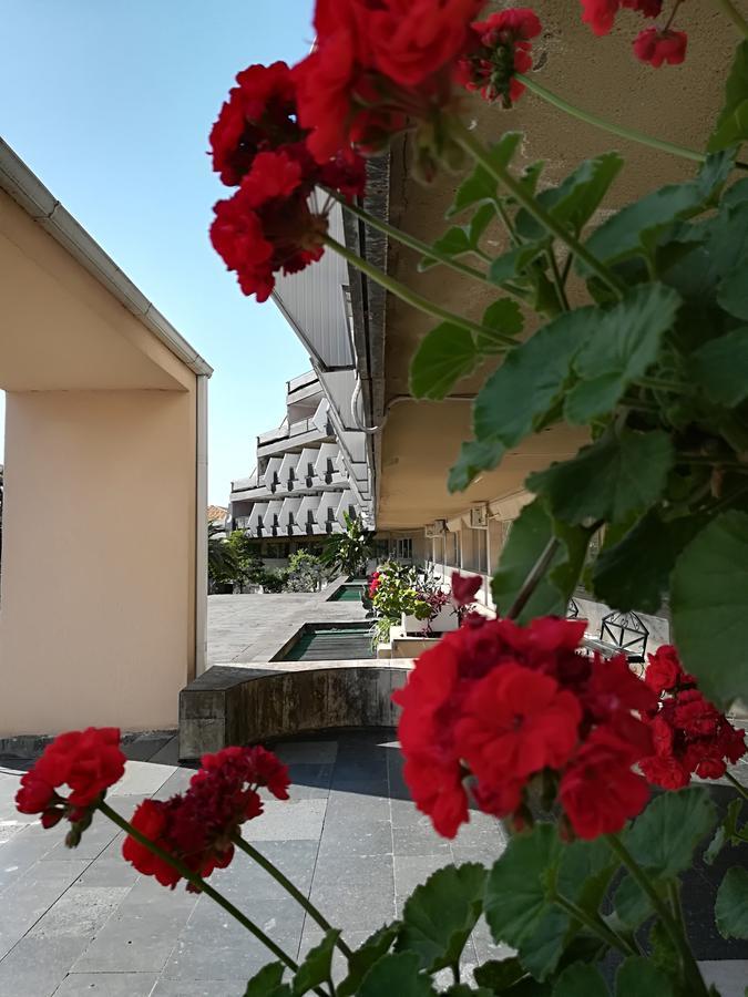 Гостиница Ива Gagra Kültér fotó